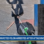 Suspect with wooden board